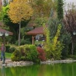 Sakarya'da Eğlenceli Mangal ve Piknik Alanları