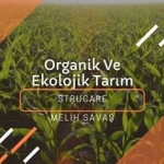 Sakarya'da Ekolojik Tarım ve Organik Ürünler