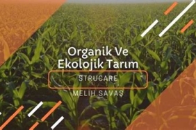 Sakarya'da Ekolojik Tarım ve Organik Ürünler