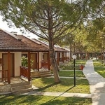 Sakarya'da Kendi Sebzenizi ve Meyvenizi Toplayabileceğiniz Tatil Köyleri