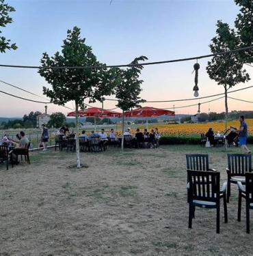 Sakarya Pansiyonları ve Ekonomik Konaklama Tesisleri
