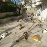 Sakarya’daki Otellerde Engelli Dostu Konaklama İmkanları