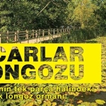 Sakarya Acarlar Longozu ve Doğa Yürüyüşü Rotaları