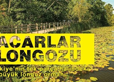 Sakarya Acarlar Longozu ve Doğa Yürüyüşü Rotaları