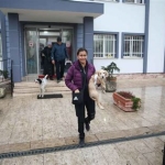 Sakarya'da Evcil Hayvan Barındırma ve Eğitim Hizmetleri veren Oteller