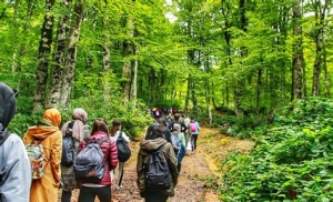Sakarya'da Doğa Yürüyüşü Rotaları