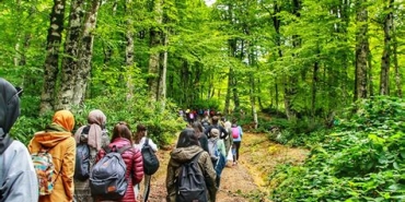 Sakarya'da Doğa Yürüyüşü Rotaları