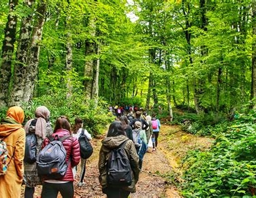 Sakarya'da Doğa Yürüyüşü Rotaları
